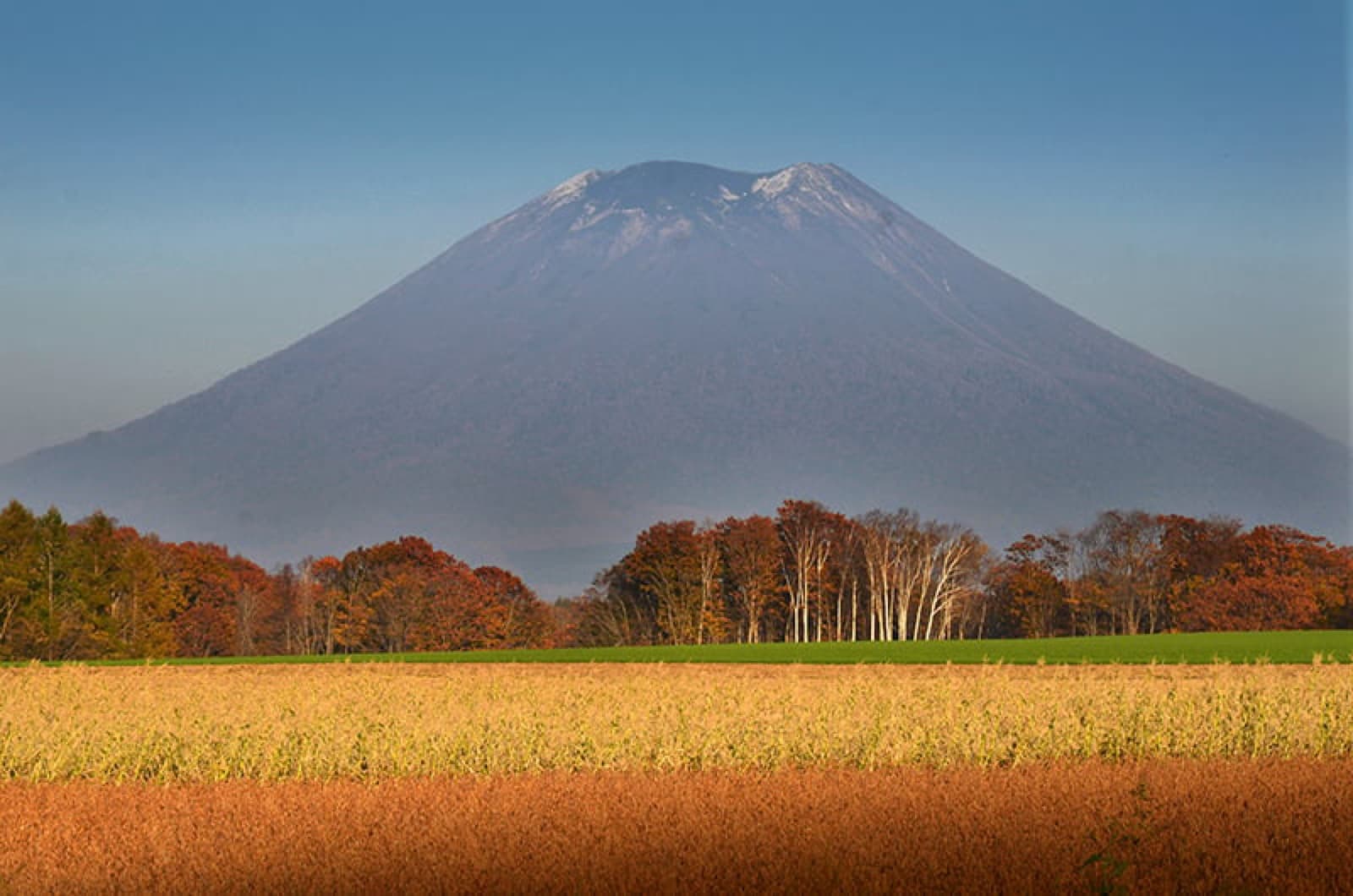 Autumn in Niseko