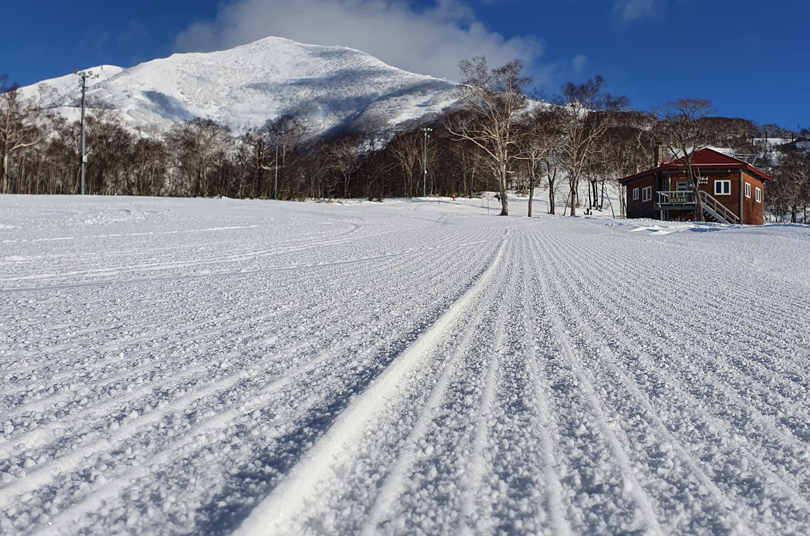 Spring in Niseko